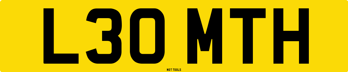L30MTH MOT Check