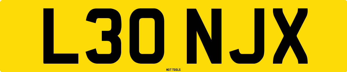 L30NJX MOT Check