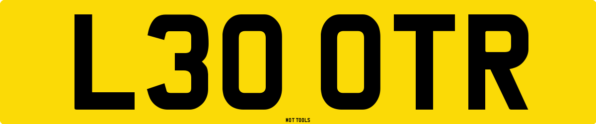 L30OTR MOT Check