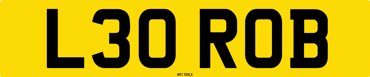L30ROB MOT Check
