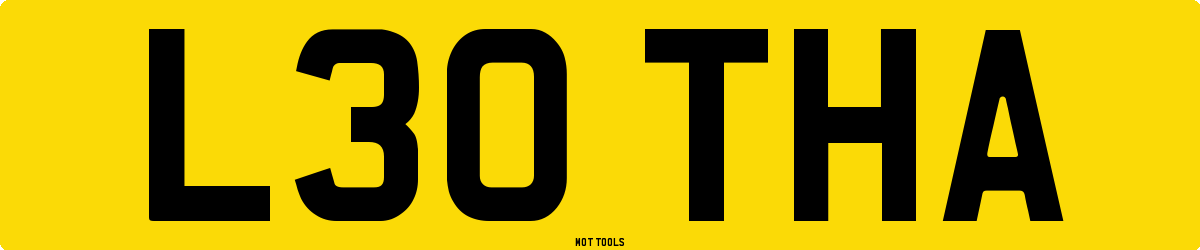 L30THA MOT Check