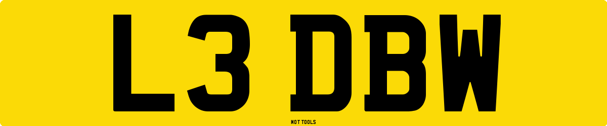 L3DBW MOT Check