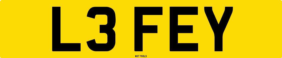 L3FEY MOT Check