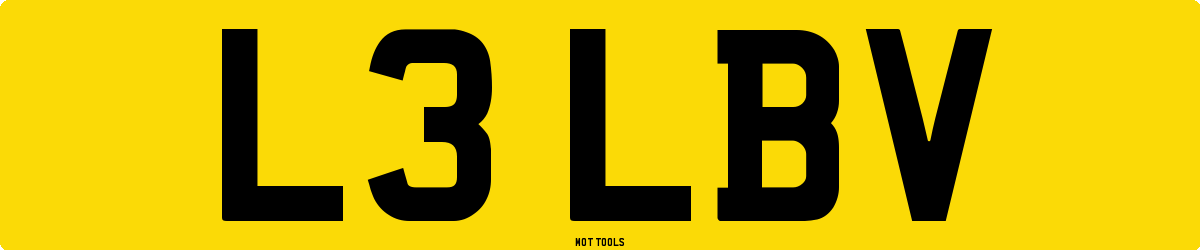 L3LBV MOT Check