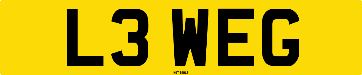 L3WEG MOT Check
