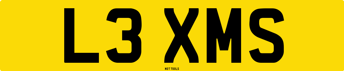 L3XMS MOT Check