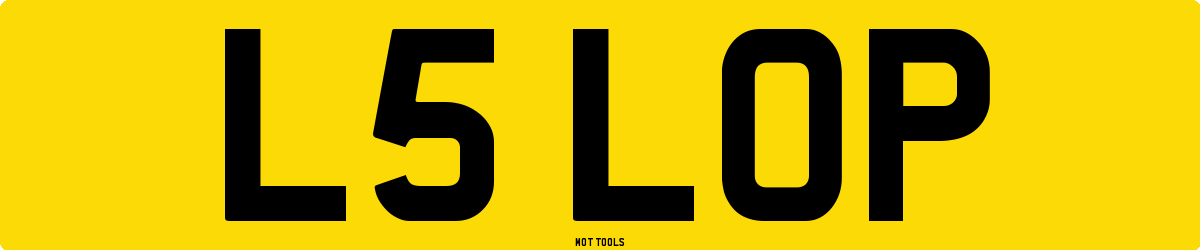 L5LOP MOT Check