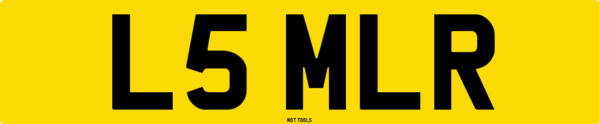 L5MLR MOT Check