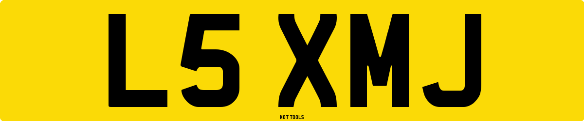 L5XMJ MOT Check