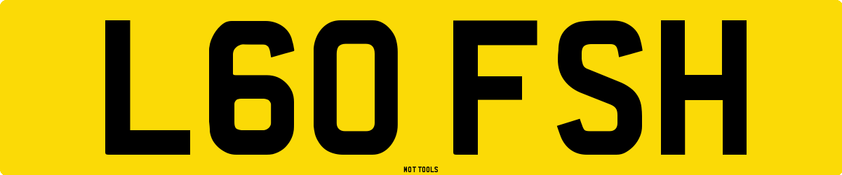 L60FSH MOT Check