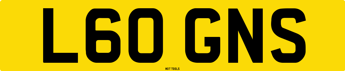 L60GNS MOT Check