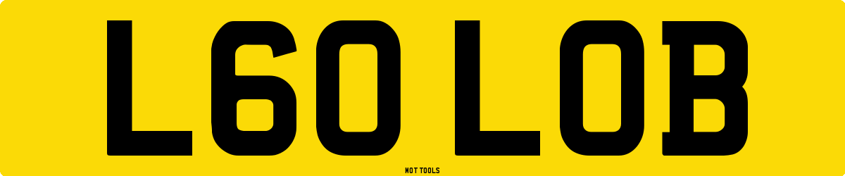 L60LOB MOT Check