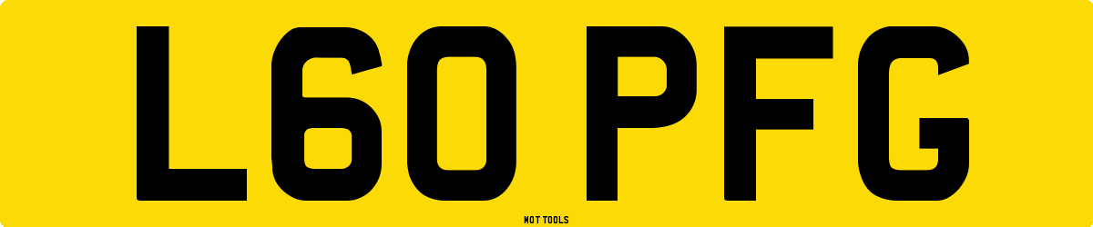 L60PFG MOT Check