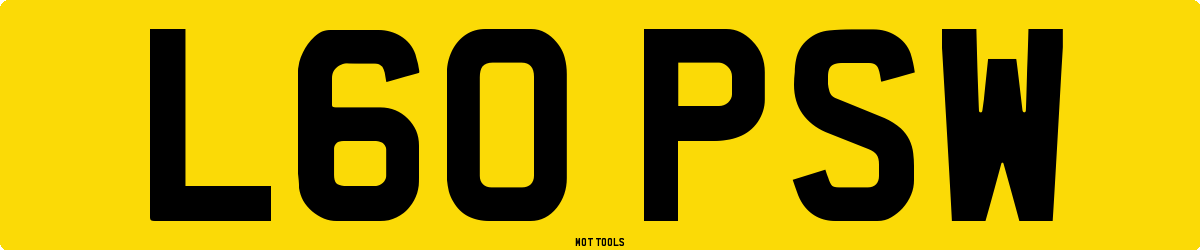 L60PSW MOT Check