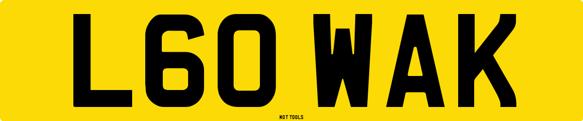 L60WAK MOT Check