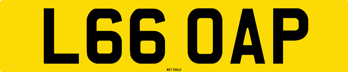 L66OAP MOT Check