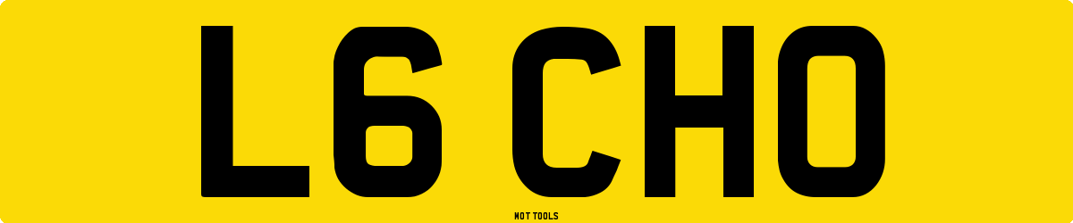 L6CHO MOT Check