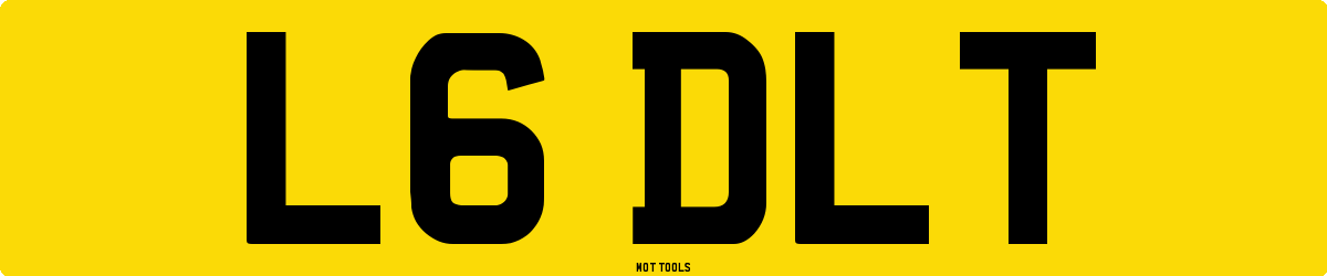 L6DLT MOT Check