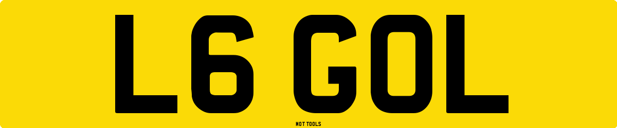 L6GOL MOT Check
