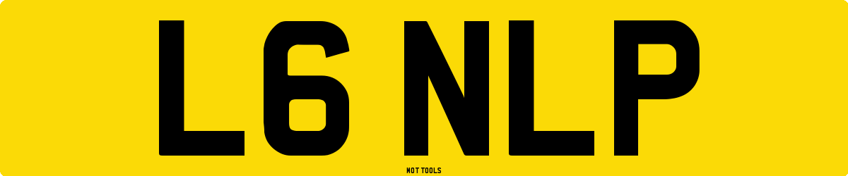 L6NLP MOT Check