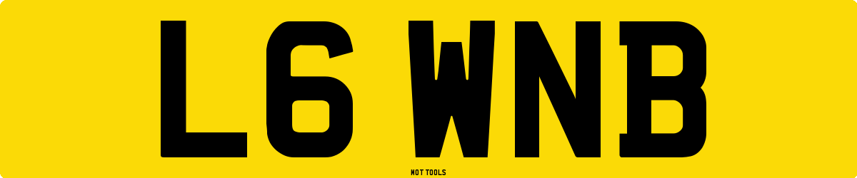 L6WNB MOT Check