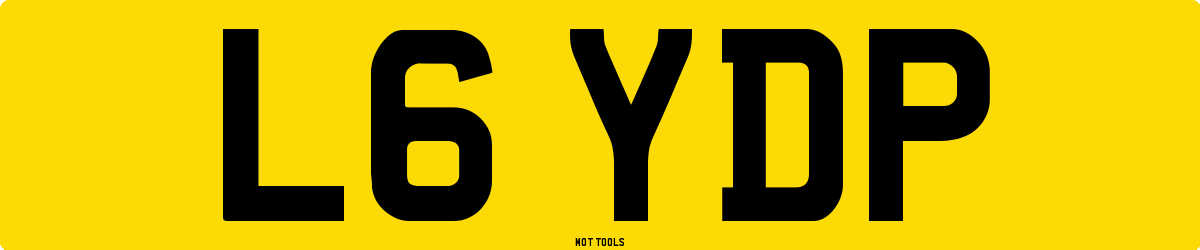 L6YDP MOT Check