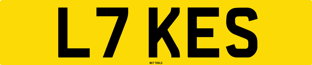 L7KES MOT Check