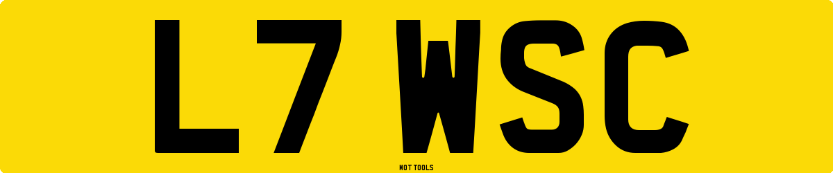 L7WSC MOT Check