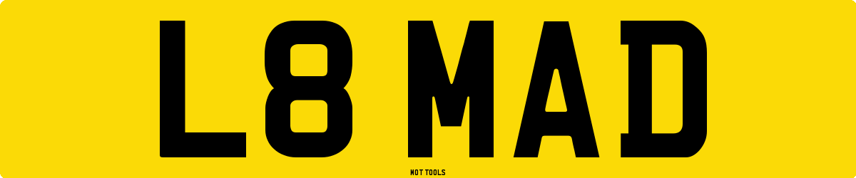 L8MAD MOT Check