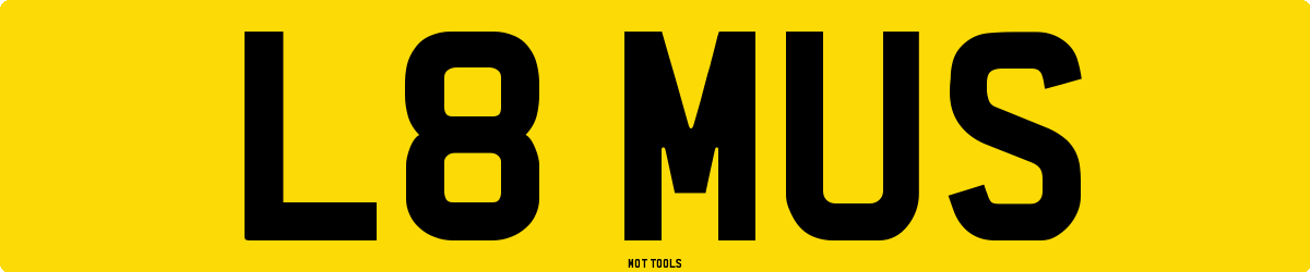 L8MUS MOT Check