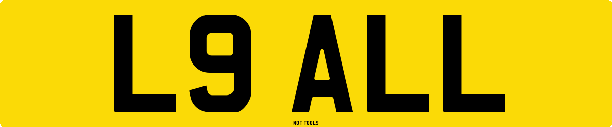 L9ALL MOT Check
