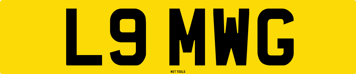 L9MWG MOT Check