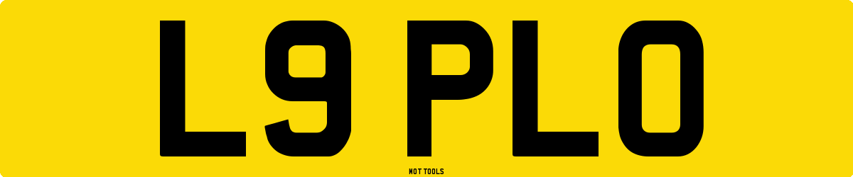 L9PLO MOT Check