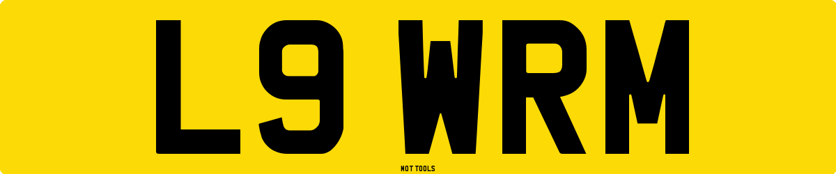 L9WRM MOT Check