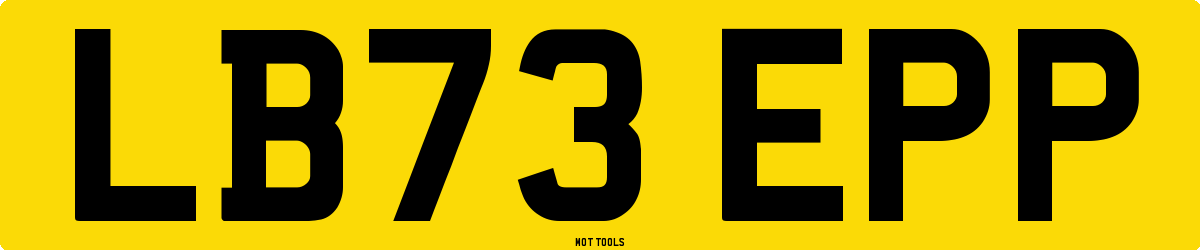 LB73EPP MOT Check