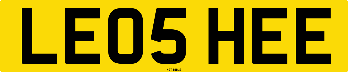 LE05HEE MOT Check