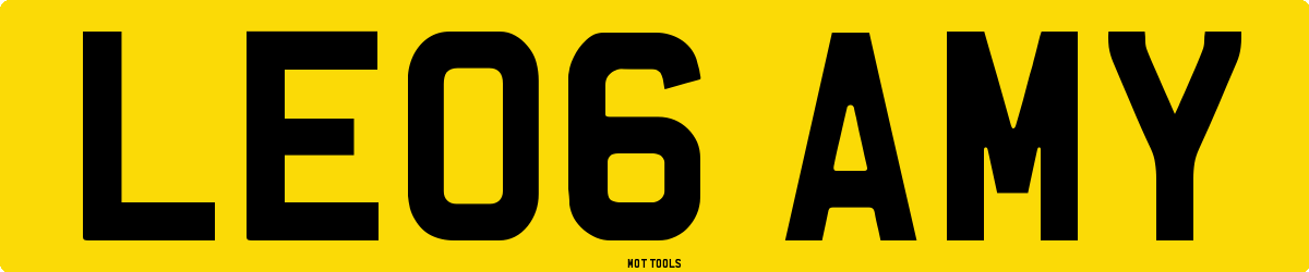 LE06AMY MOT Check