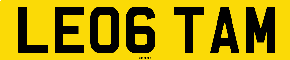 LE06TAM MOT Check