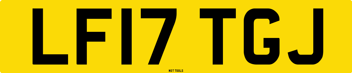 LF17TGJ MOT Check
