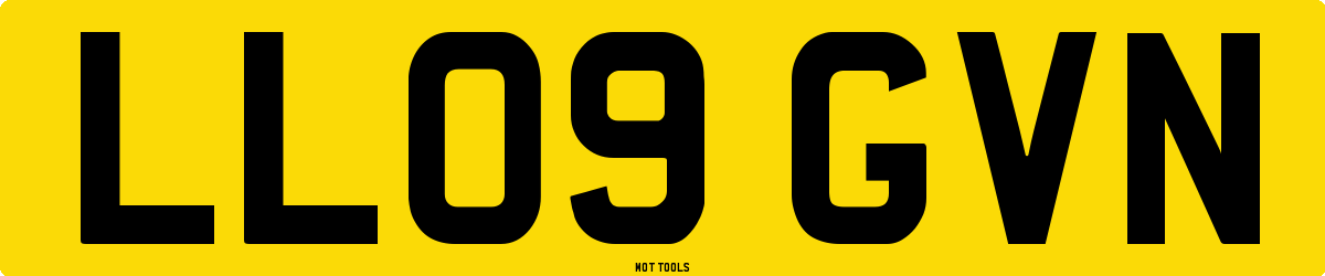 LL09GVN MOT Check