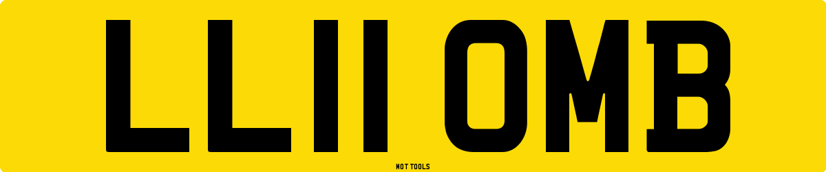 LL11OMB MOT Check