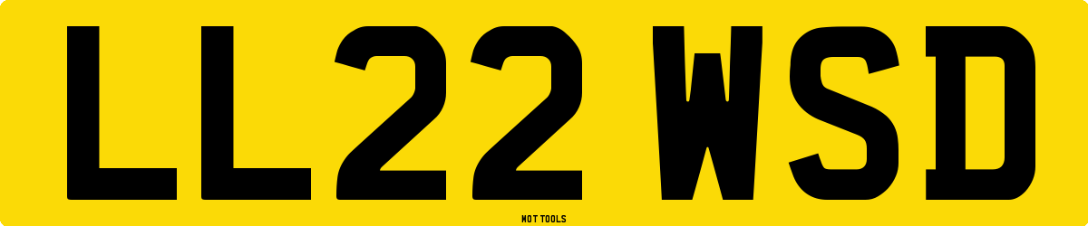 LL22WSD MOT Check