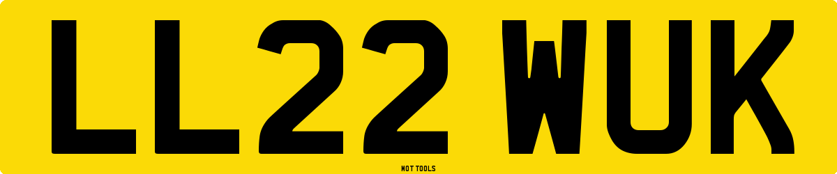 LL22WUK MOT Check
