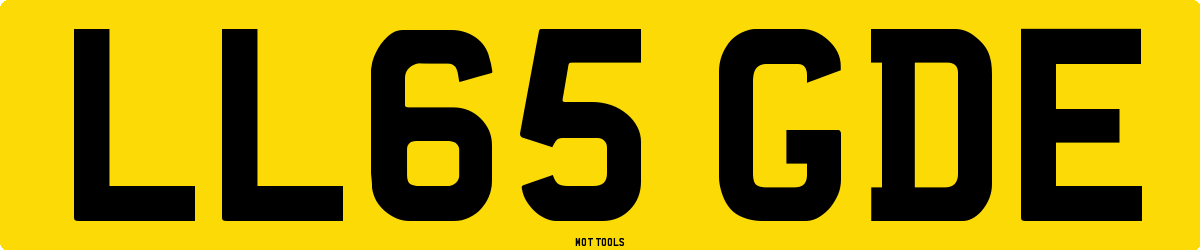 LL65GDE MOT Check
