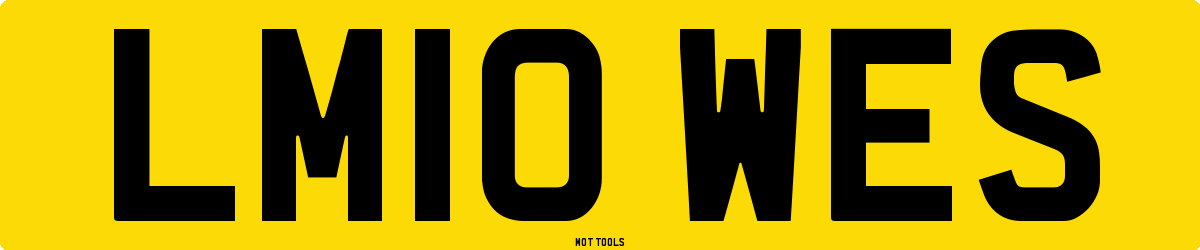 LM10WES MOT Check