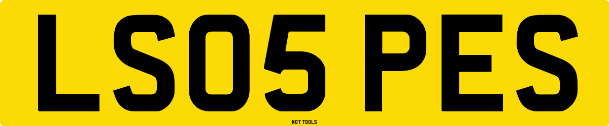 LS05PES MOT Check