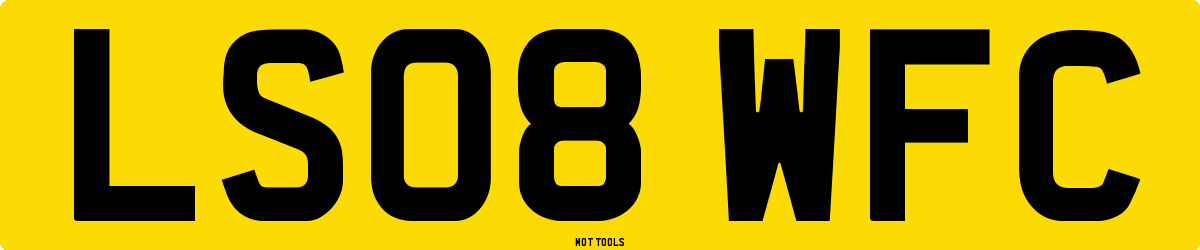 LS08WFC MOT Check