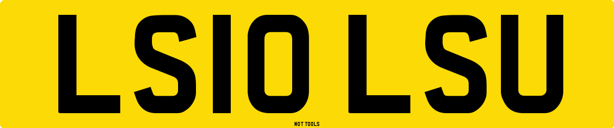 LS10LSU MOT Check