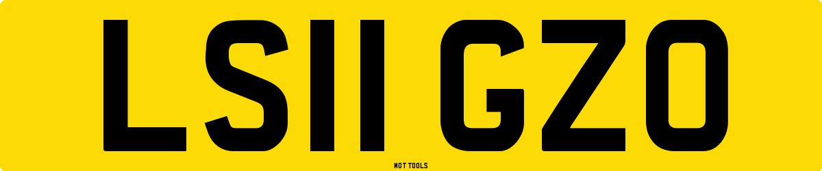 LS11GZO MOT Check