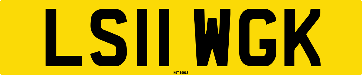 LS11WGK MOT Check